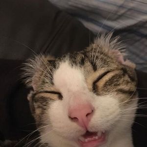 Meet your Posher, Wyatt